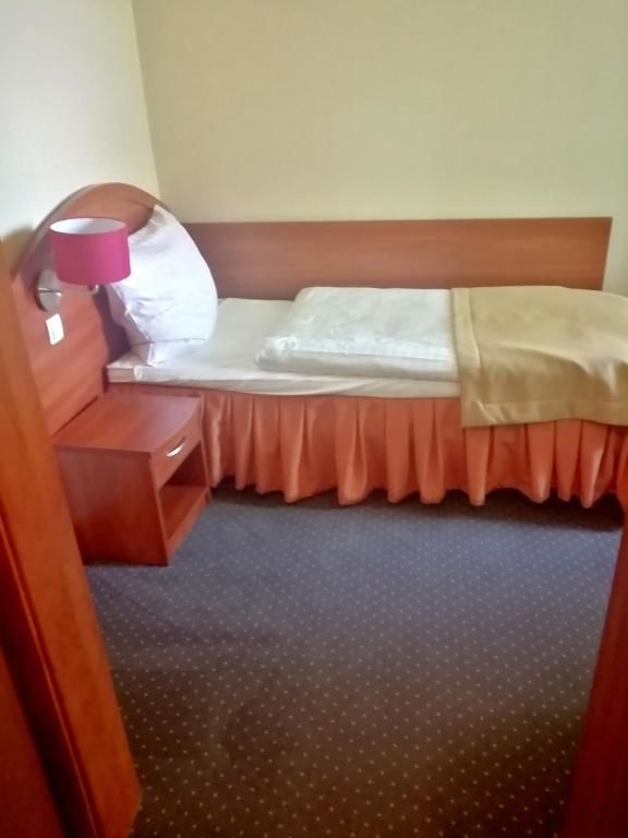 Отель Hotel Borowianka Острув-Велькопольски-51