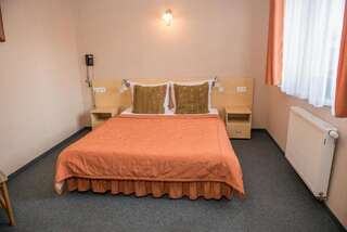 Отель Hotel Borowianka Острув-Велькопольски Двухместный номер эконом-класса с 1 кроватью-1