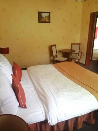 Отель Hotel Borowianka Острув-Велькопольски Двухместный номер Делюкс с 1 кроватью-2